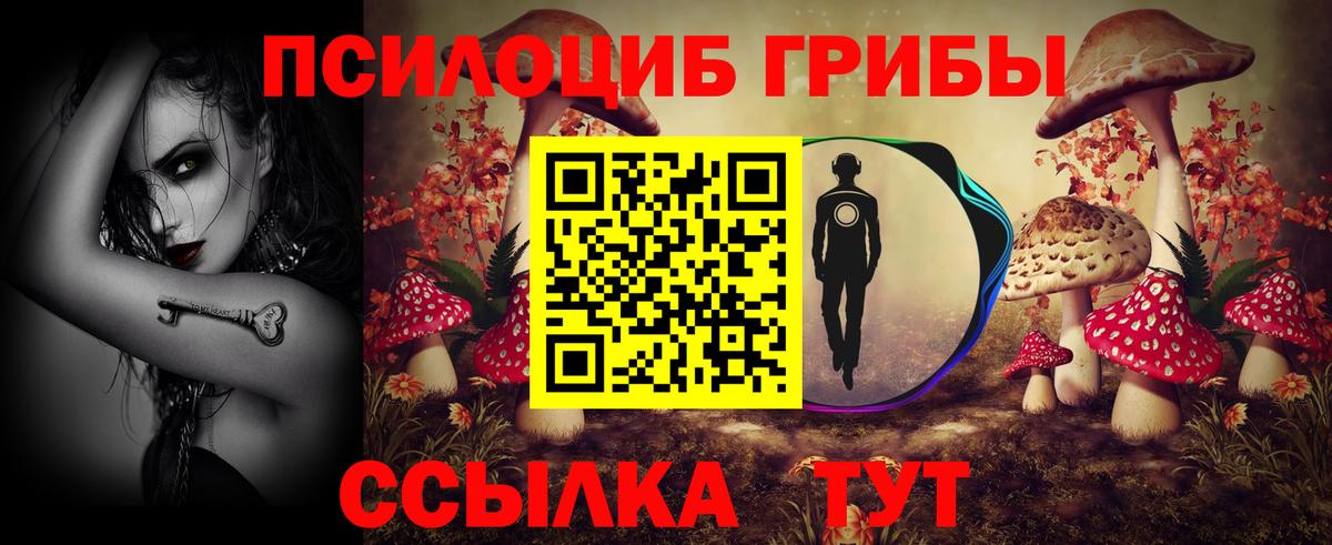 Псилоцибиновые грибы ЛСД Новый Уренгой