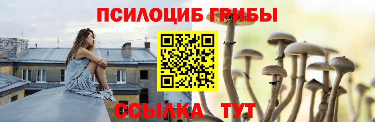 Новый Уренгой  Псилоцибиновые грибы GOLDEN TEACHER  Вход с VPN 